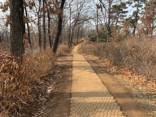 ▲ 산길에 들어서면 우선 마음이 설렌다. 북적이던 사람들 사이를 떠난다고 생각하니 마음에 좀 여유가 생긴다. 도심에선 볼 수 없었던 계절이 지나가는 소리도 들을 수 있다. 숲을 잘 가꾸고 보존하는 일을 게을리 해서는 안되겠다.