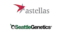 ▲ 시애틀제네틱스(Seattle Genetics)와 아스텔라스제약이 미국에서 패드세브(Padcev, enfortumab vedotin)와 키트루다(성분명 펨브롤리주맙) 병용요법을 방광암 혁신치료제로 지정받았다.