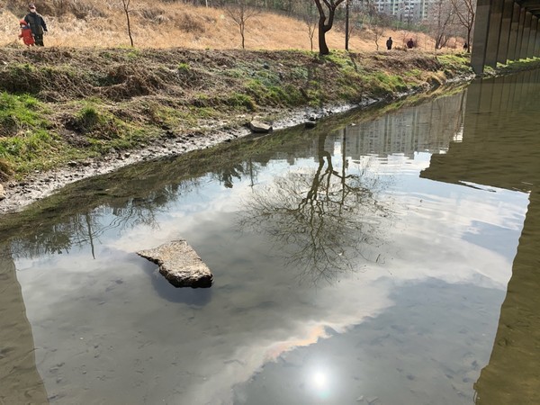 ▲ 오후의 해가 냇가를 비치고 있다. 아직은 마른 나무지만 곧 푸른 싹이 돋을 것이다. 산책을 나온 할아버지와 손녀가 나란히 마스크를 쓰고 있다. 그런 풍경도 지나가겠지. 봄바람을 타고서.