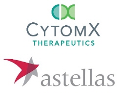 ▲ 일본 아스텔라스 제약이 미국 바이오제약기업 사이톰엑스 테라퓨틱스(CytomX Therapeutics)와 암 치료용 항체를 개발하기 위해 제휴를 맺었다.