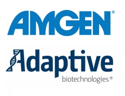 ▲ 암젠과 어댑티브 바이오테크놀로지스(Adaptive Biotechnologies)가 코로나19 예방 또는 치료를 위한 의약품을 개발하기 위한 파트너십을 체결했다.