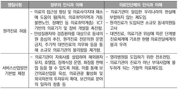 ▲ 의료민영화의 쟁점에 대한 정부와 의료인단체 간의 인식과 이해의 차이.