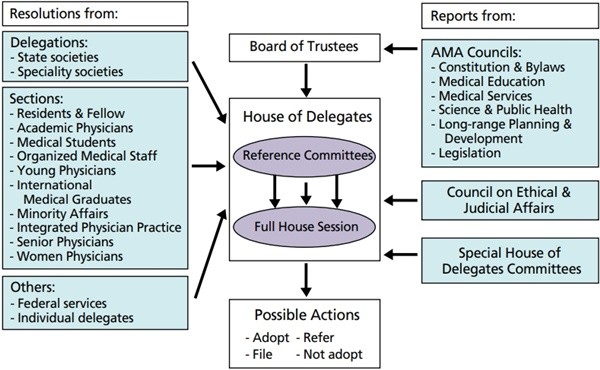 ▲ The American Medical Association (AMA) policy-making process.