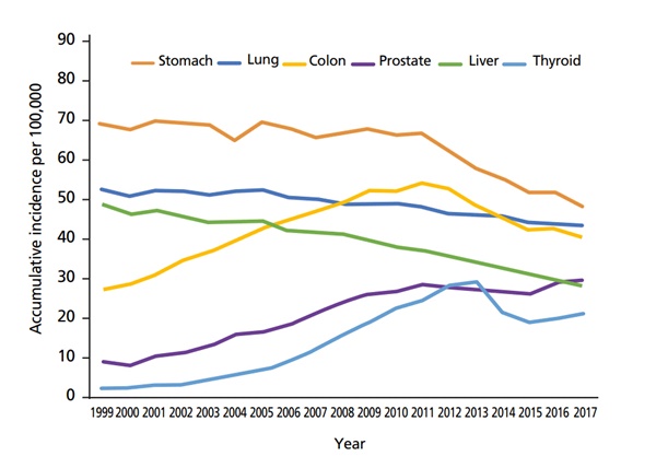 ▲ The change of age-standardized incidence rate of male cancer in Korea from 1999 to 2017. Adapted from National Cancer Center. Annual report of cancer statistics in Korea in 2017 [Internet]. Goyang: National Cancer Center; 2020