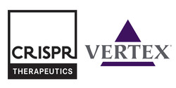 ▲ 크리스퍼 테라퓨틱스와 버텍스는 베타지중해빈혈 및 겸상적혈구병에 대한 CRISPR/Cas9 유전자 편집 치료제의 임상시험에서 나온 새로운 데이터를 발표했다.