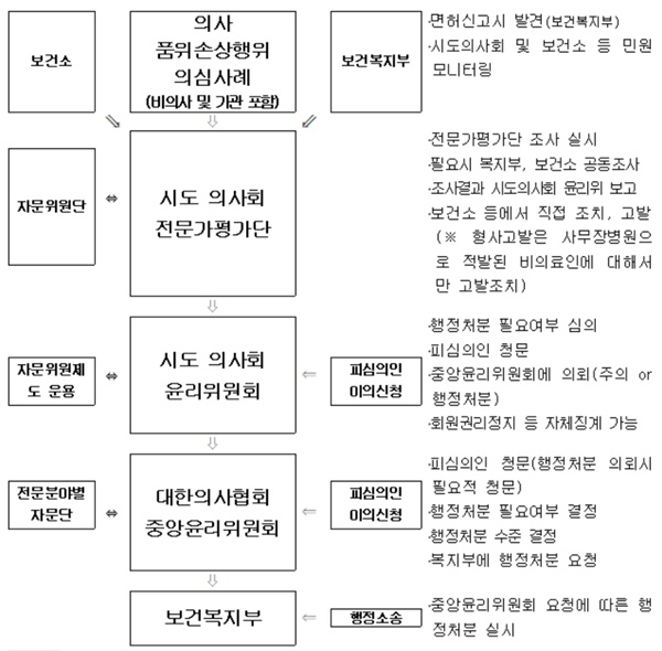 ▲ 제2기 전문가평가제 시범사업 추진체계.