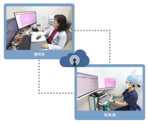 ▲ 연세대학교 의과대학 용인세브란스병원이 국내 최초로 모즈(Mohs) 미세도식수술에 디지털 병리를 도입하는 등 디지털 병리를 적용한 피부암 수술을 대폭 활성화했다.