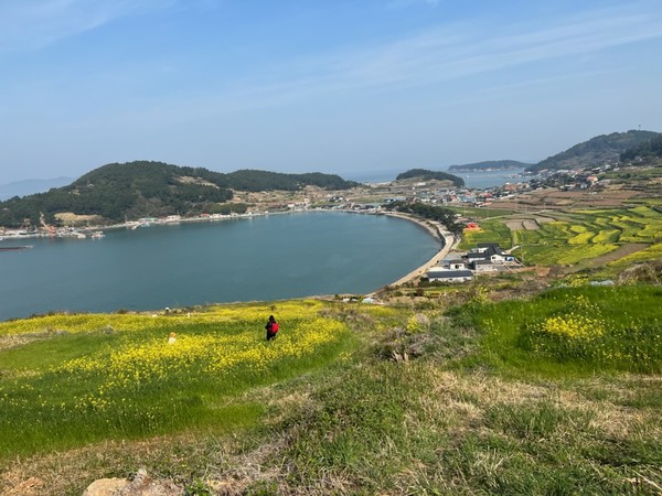 ▲ 청산도의 칼라는 노랑이다. 천천히 걷다보면 새로운 인생의 길이 보일지도 모른다.