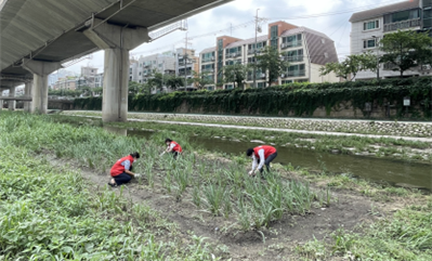 ▲ 한국건강관리협회 서울특별시동부지부는 지난 8월 4일(목) 동대문구에 위치한 정릉천에서 ‘메디체크 건강 환경 가꾸기’ 봉사활동을 실시했다.