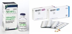 ▲ 에자이의 다중 표적 항암제(Tyrosine Kinase Inhibitor, TKI) 렌비마(성분명 렌바티닙)와 MSD의 항PD-1 면역관문억제제 키트루다(성분명 펨브롤리주맙)이 진행성 투명세포 신세포암 환자의 생존율을 개선한 것으로 나타났다.