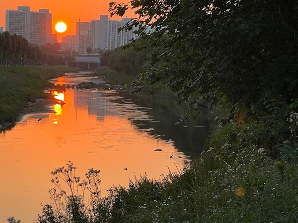 ▲ 시간을 잘 맞추면 서해바다로 지는 붉은 해를 도림천에서 볼 수 있다.