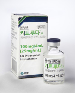 ▲ 키트루다는 미국에서 절제 가능한 비소세포폐암 환자의 수술 전 및 수술 후 보조요법으로 추가 승인됐다.