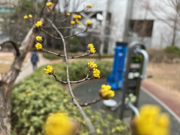 ▲ 공원하면 녹지가 떠오른다. 여러모로 귀중한 존재다.