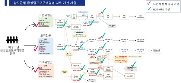 ▲ 환자군별 급성림프모구백혈병 치료 개선 사업.(표준위험군, 고위험군, 최고위험군 치료 프로토콜)