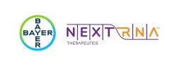 ▲ 바이엘은 넥스트RNA와 lncRNA 표적 저분자 프로그램 2건을 공동으로 개발하면서 정밀 종양학 개발 포트폴리오를 더욱 강화할 방침이다.