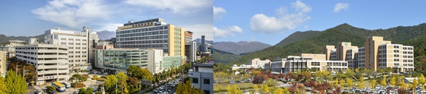 ▲ 전남대병원(왼쪽)과 화순전남대병원 전경.