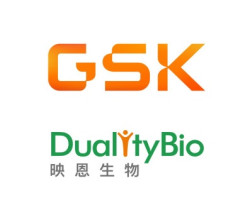 ▲ GSK는 듀얼리티바이오의 ADC 후보물질 DB-1324에 대한 라이선스를 취득할 수 있는 옵션을 획득하기 위해 최대 10억 달러 규모의 계약을 맺었다.