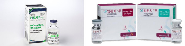 ▲ 절제 불가능한 간세포암 환자 중 색전술이 가능한 환자에서 경동맥화학색전술(TACE)과 면역항암제, 혈관 내피세포 성장인자(VEGF) 억제제 조합이 새로운 표준으로 부상하고 있다.