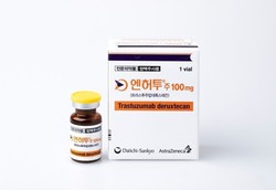 ▲ 미국임상종양학회는 종양 유발 유전자 변이가 없는 4기 비소세포폐암 진료지침에 엔허투를 추가했다.