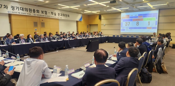 ▲ 보험ㆍ학술분과위원회에서는 분석심사 제도 참여에 대한 격론이 오갔다.