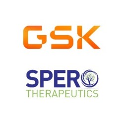 ▲ GSK와 스페로는 과거 승인에 실패했던 경구용 항생제 테비페넴 HBr의 FDA 승인을 재추진할 계획이다.