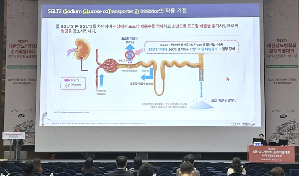 ▲ 한미약품은 지난 8일부터 사흘간 경북 경주시 화백컨벤션센터에서 열린 ‘제38차 대한당뇨병학회 춘계학술대회 및 제7차 한일당뇨병포럼’에 참가해, 내분비대사내과 분야 전문의들을 대상으로 다파론정과 다파론듀오서방정의 임상적 이점에 관한 심포지엄을 진행했다고 밝혔다.