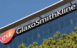 글락소스미스클라인이 다발골수종 신약 후보물질 벨란타납 마포도틴(belantamab mafodotin, GSK2857916)의 임상 2상 시험 성공 이후 미국 식품의약국(FDA)에 판매허가 신청을 제출했다.