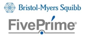 브리스톨마이어스스퀴브(BMS)와 파이브 프라임 테라퓨틱스(Five Prime Therapeutics)가 췌장암 관련 옵디보와 카비랄주맙 병용요법 임상시험에서 실패했다.