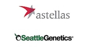 시애틀제네틱스(Seattle Genetics)와 아스텔라스제약이 미국에서 패드세브(Padcev, enfortumab vedotin)와 키트루다(성분명 펨브롤리주맙) 병용요법을 방광암 혁신치료제로 지정받았다.