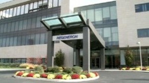 리제네론은 미국 국립알레르기ㆍ감염병연구소와 협력해 코로나19 치료 및 예방을 위한 이중 항체 칵테일 REGN-COV2의 대규모 임상시험을 진행할 계획이다.