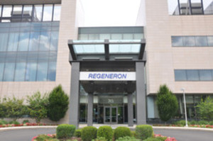 리제네론은 코로나19 항체 칵테일 REGEN-COV을 코로나19 예방을 위한 수동 백신으로 평가 중인 임상 3상 시험에서 긍정적인 중간 데이터를 얻었다.