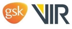 ▲ GSK와 비어의 코로나19 항체치료제 VIR-7831은 임상 3상 시험에서 성인 코로나19 환자의 조기 치료제로서 입원 및 사망 위험을 감소시킨 것으로 나타났다.