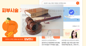 ▲ '강남언니' 판례가 약사사회에도 큰 영향을 줄 것이라는 변호사의 분석이 나왔다.