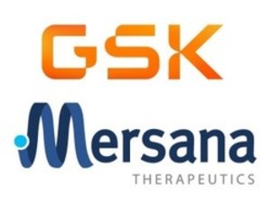 GSK와 머서나는 HER2 표적 ADC인 XMT-2056의 공동 개발과 상업화를 위한 옵션 계약을 체결했다.