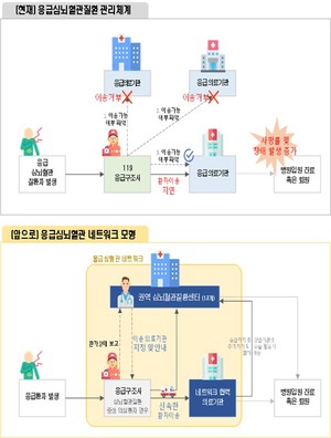 응급심뇌 전달체계 개선 시범사업 개요.