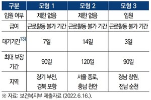 상병수당 시범사업 모형(안).