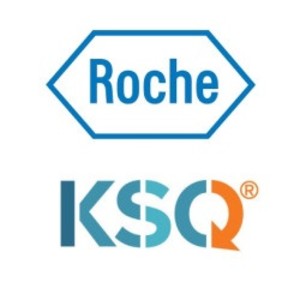로슈는 KSQ 테라퓨틱스의 계열 최초 USP1 억제제 KSQ-4279를 전 세계에서 개발하고 상용화하기로 했다.