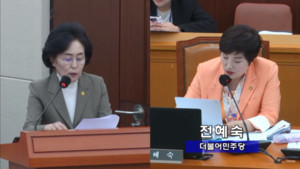 국회 보건복지위원회 국정감사에 참고인으로 출석한 서울시약사회 권영희 회장이 더불어민주당 전혜숙 의원의 질의에 답변하고 있다.