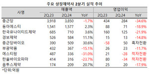 상장제약사들이 2분기 들어 잇따라 부진한 성적표를 내놓고 있다.