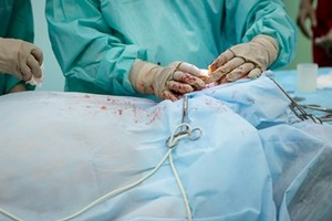 필수의료는 건강보험이 제공하는 의료로 정의해야한다는 의견이다.