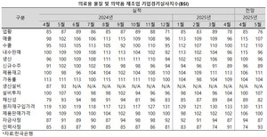 의약품제조업의 경기전망을 두고 부정적인 시선이 늘어가고 있다.