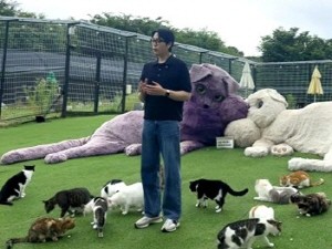 한국베링거인겔하임동물약품은 나응식(‘냐옹신’) 수의사와 함께 유기묘 120마리를 돌보는 경기도 고양시 소재 고양이 돌봄 카페에서 구충 봉사활동을 진행했다. 