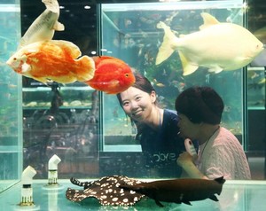 한국애브비(대표이사 강소영)는 지난 10일부터 25일까지 전 임직원이 함께하는 ‘제12회 가능성 주간(Week of Possibilities)’을 진행했다고 밝혔다.