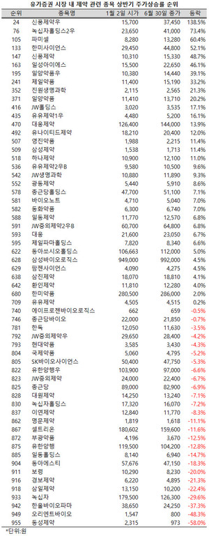 지난 상반기, 유가증권 시장에서 7개 제약관련 종목(우선주 포함 제약지수 구성종목 및 지주사주)이 주가상승률 200위 안에 이름을 올렸다.