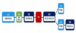 일본의 치료재료 허가범위 초과 사용 프로세스.
