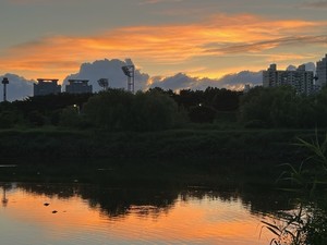 석양에 반사된 안양천의 물빛이 볼 만 하다.