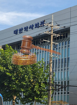 ▲ 대한약사회는 윤리위원회는 5일, 회의를 열고 약사회 임원의 약 배달 문제를 논의할 예정이다.