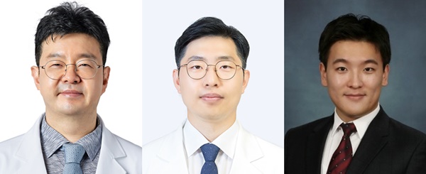 ▲ (왼쪽부터)김범준 교수, 석준 교수, 안가람 박사.