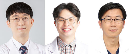 ▲ (왼쪽부터) 남기웅 교수, 김치경 교수, 조금준 교수
